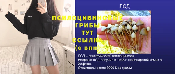 соль ск Богородицк