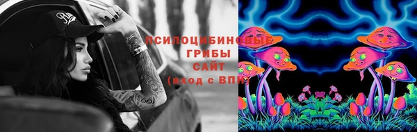 соль ск Богородицк