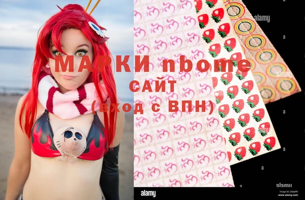 соль ск Богородицк